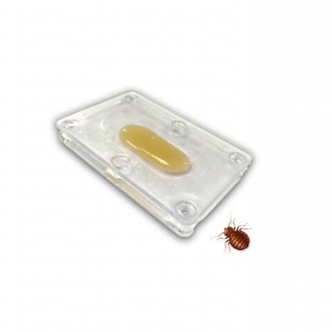 BedBug Armadilha